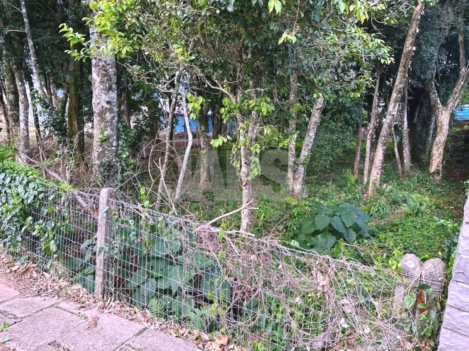 Divisa do terreno com cerca